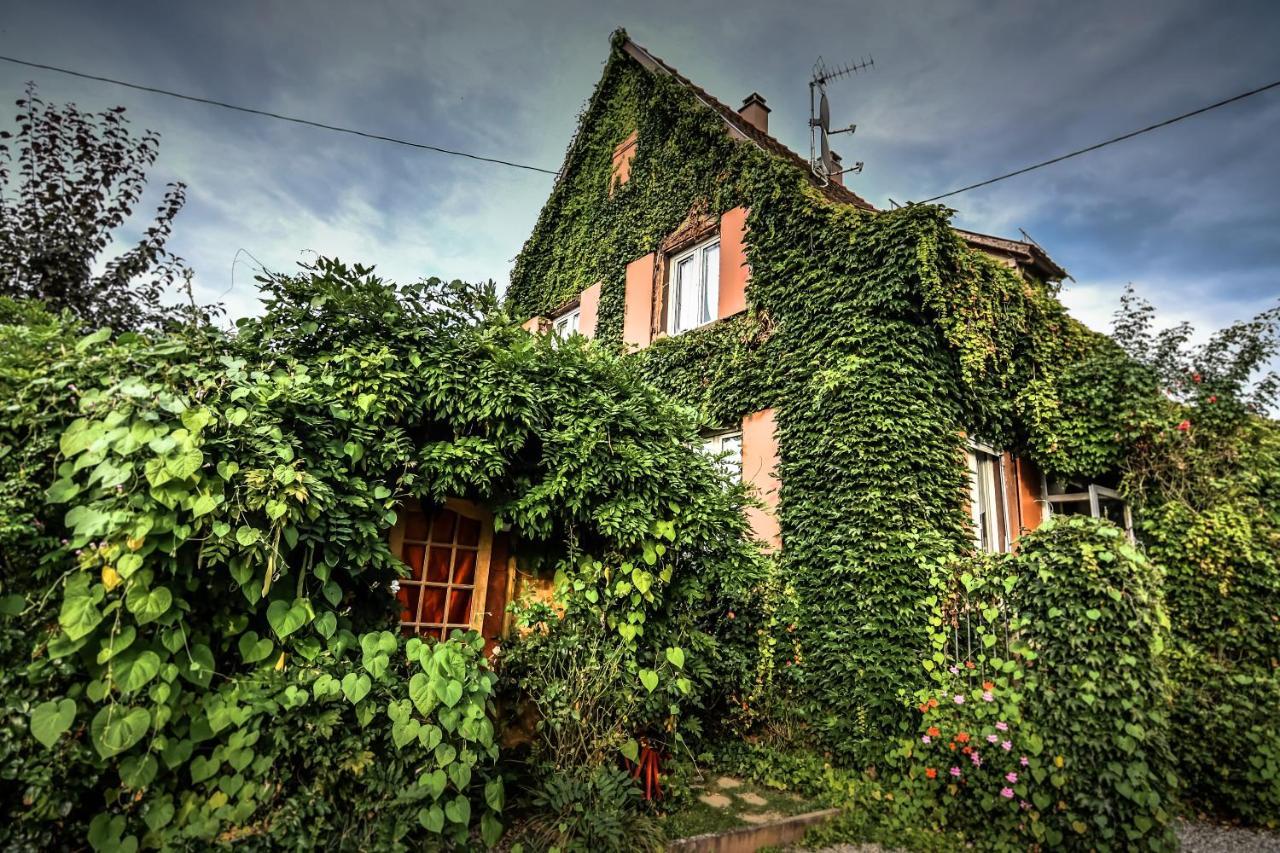 ❊ Au Murmure De L'Eau Au Coeur De L'Alsace ❊ Ebersheim Exterior photo